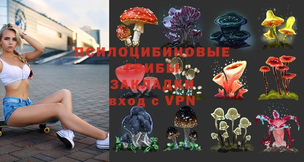 прущие крисы Касимов