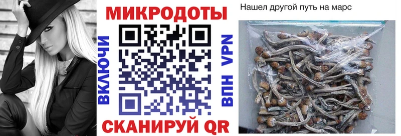 Галлюциногенные грибы Psilocybine cubensis  Купить  Новоульяновск 
